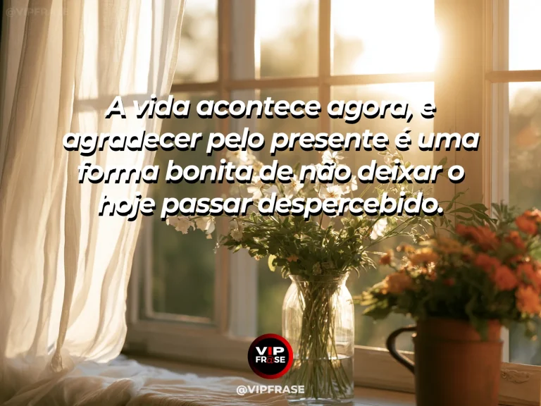Frase de gratidão em cenário de raio de sol atravessando uma cortina e iluminando uma planta, enfatizando presença no momento.