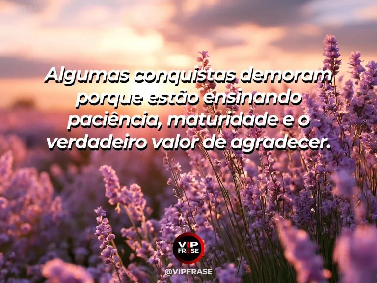 Frase de gratidão em cenário de flor abrindo parcialmente ao amanhecer, sugerindo crescimento gradual e paciência.
