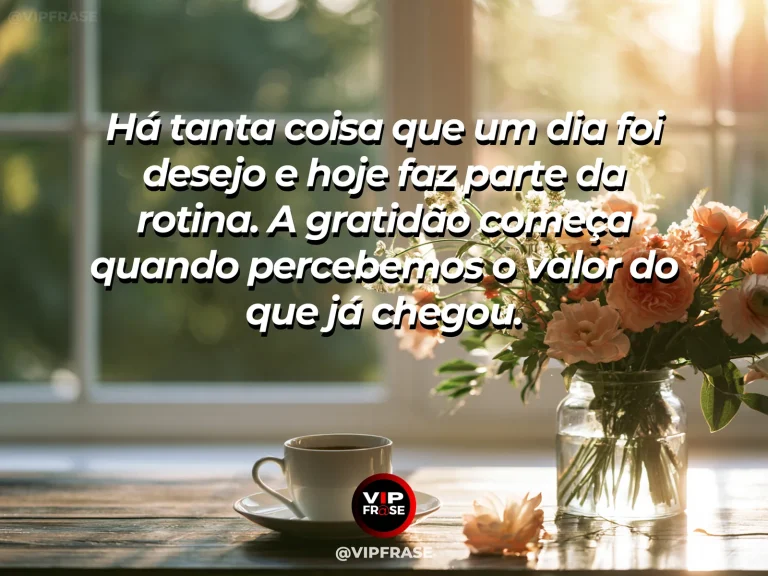Mensagem de gratidão sobre gratidão pelo que já faz parte da vida, em luz suave da manhã entrando por uma janela
