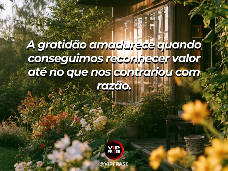 Frase de gratidão com porta entreaberta com luz entrando, atmosfera contemplativa