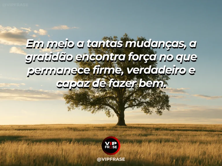 Mensagem de gratidão sobre valor do que permanece, com árvore antiga e forte em campo aberto sob luz dourada