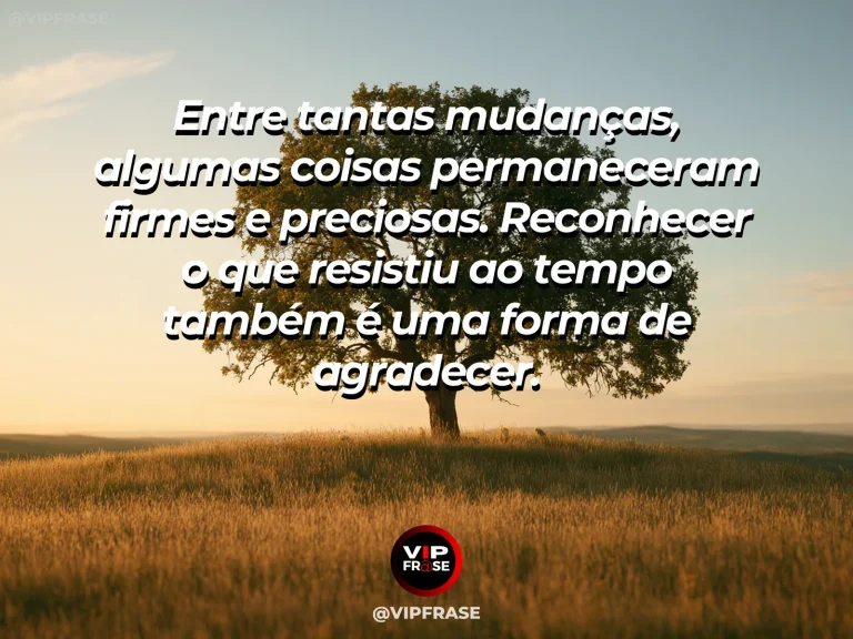 Mensagem de gratidão com cena de árvore antiga e firme em paisagem de mudança sazonal, simbolizando permanência