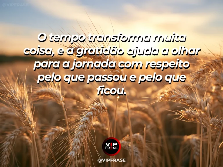 Mensagem de gratidão sobre tempo e jornada de vida, com estrada sinuosa vista de cima atravessando paisagem de outono