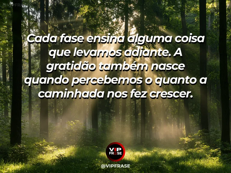 Mensagem de gratidão com cena de caminho entre árvores altas seguindo para a luz, simbolizando crescimento e aprendizado