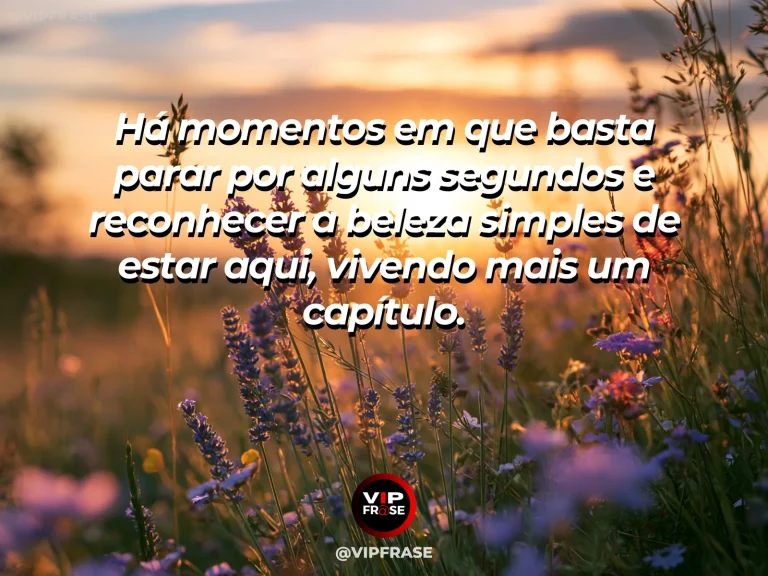 Mensagem de gratidão sobre gratidão pela vida presente, com pessoa de costas contemplando nascer do sol em campo aberto