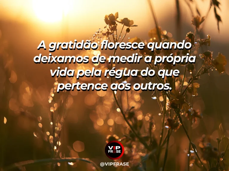 Frase de gratidão em cenário de uma única flor crescendo entre folhas verdes, composição que valoriza identidade própria sem comparação.