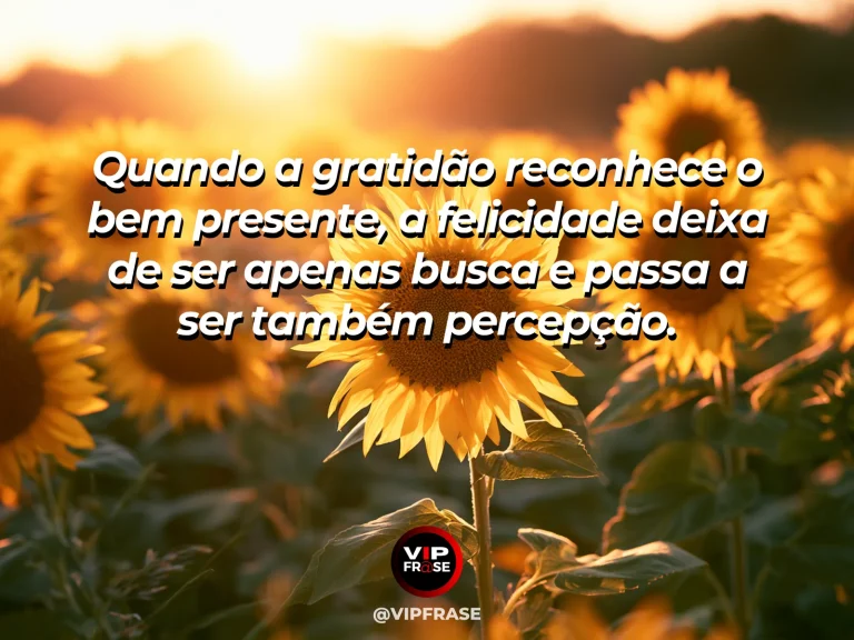 Mensagem de gratidão sobre gratidão e felicidade presente, com luz do sol atravessando folhas verdes com atmosfera alegre e delicada