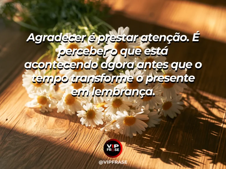 Mensagem de gratidão sobre gratidão também é presença, em momento contemplativo junto a uma janela