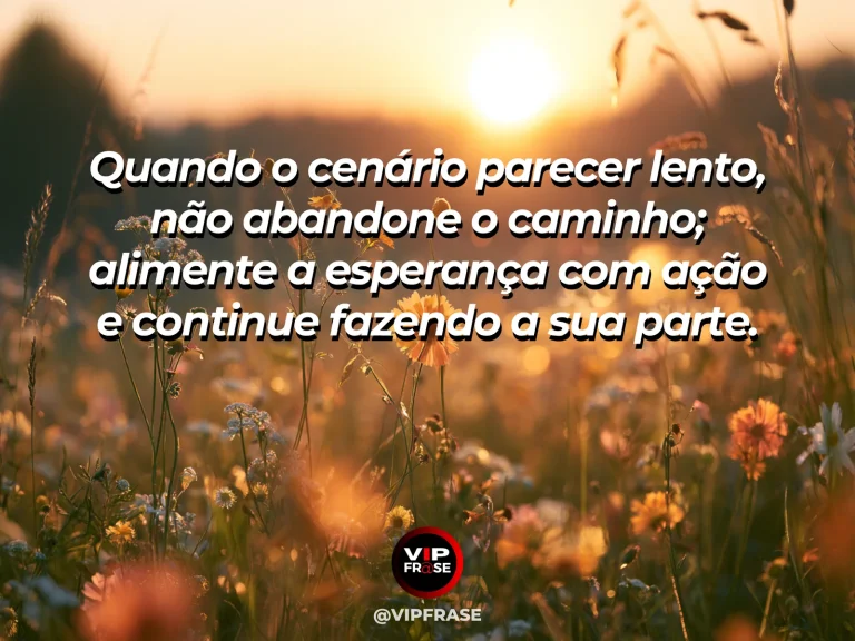 Frase motivacional sobre esperança com broto crescendo entre pedras.