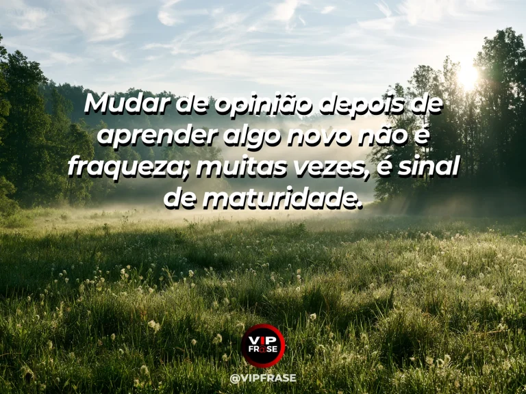 Frase reflexiva sobre sabedoria com folhas novas em galho iluminado.