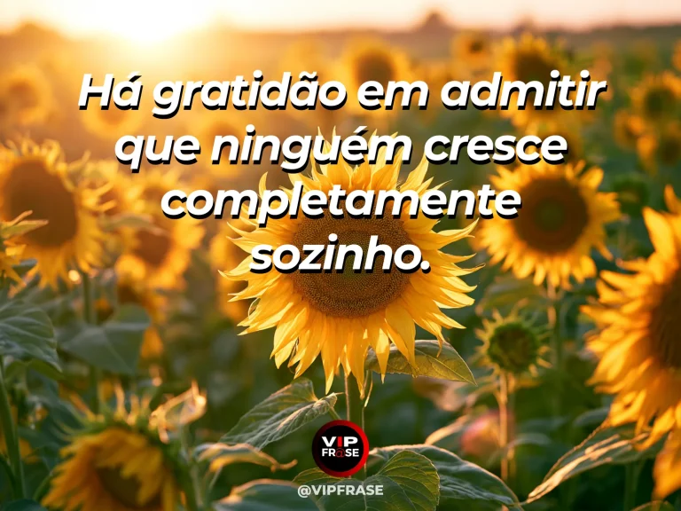 Frase de gratidão com grupo de pessoas caminhando juntas em paisagem ampla