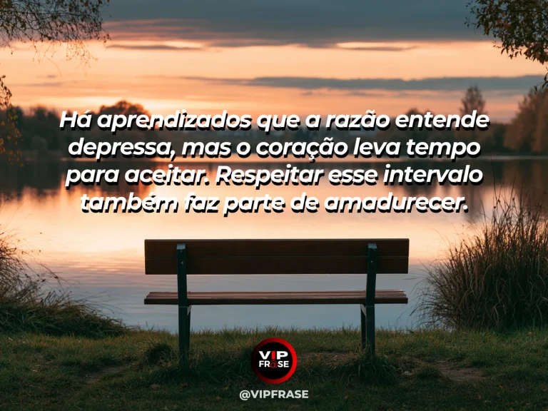 Mensagem reflexiva sobre tempo emocional e amadurecimento, com banco em jardim florido sob luz quente da tarde.