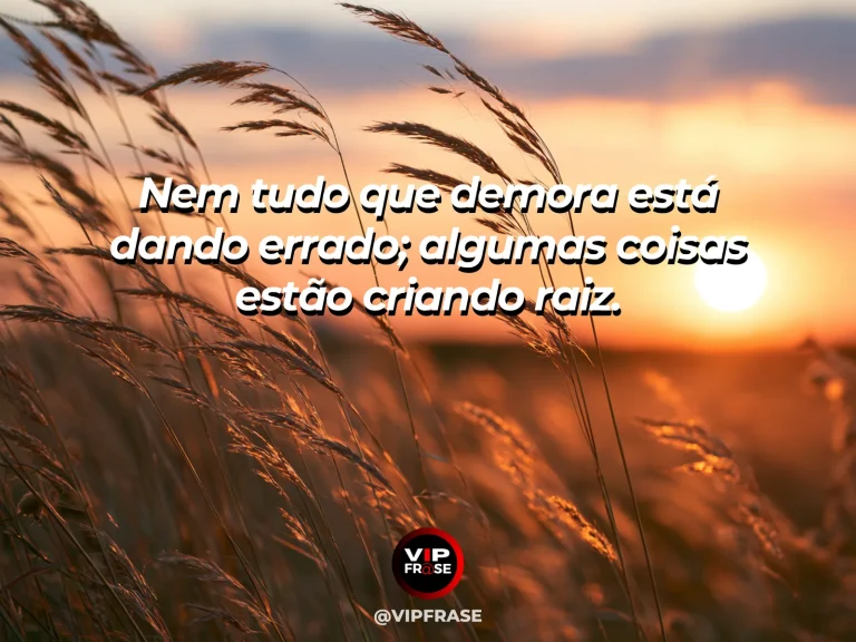 Frase reflexiva sobre esperança e confiança, com árvore jovem criando raízes.