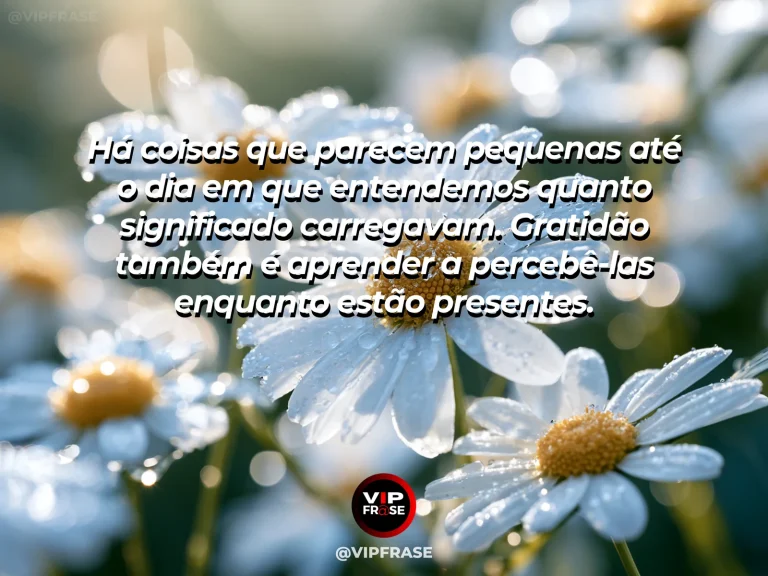 Mensagem de gratidão sobre o valor do que parecia pequeno, em detalhe de pequenas flores recebendo luz natural