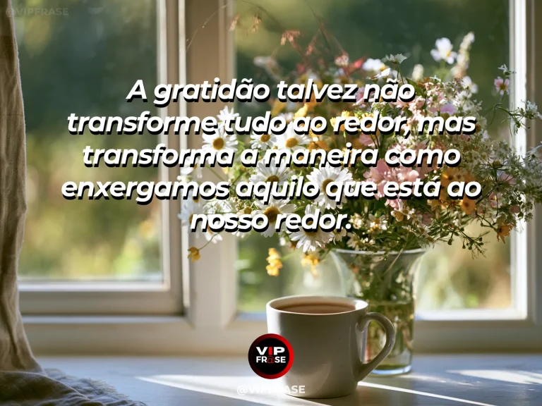 Mensagem de gratidão sobre quando agradecer muda o olhar, em janela com reflexos de luz dourada e paisagem desfocada ao fundo