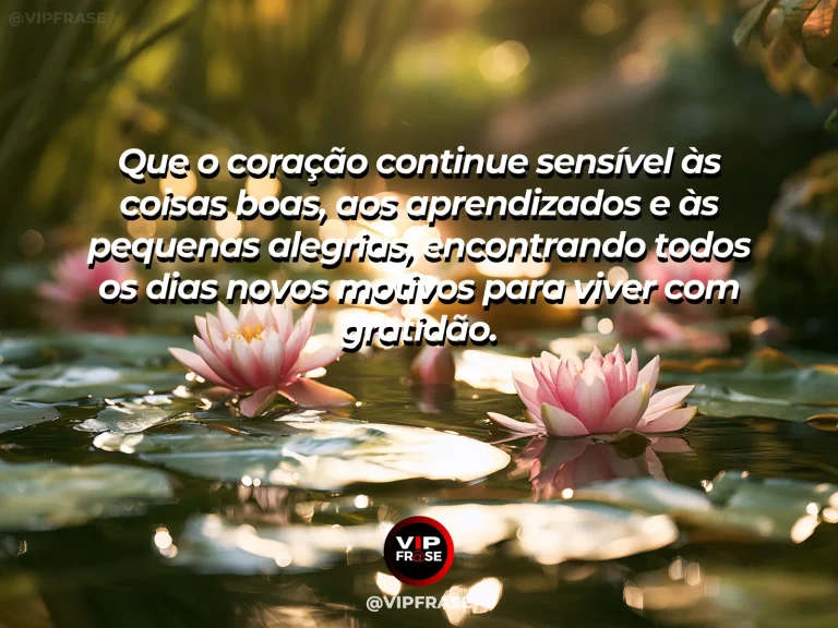 Mensagem de gratidão com cena de amanhecer delicado sobre flores e horizonte luminoso, encerramento caloroso e esperançoso