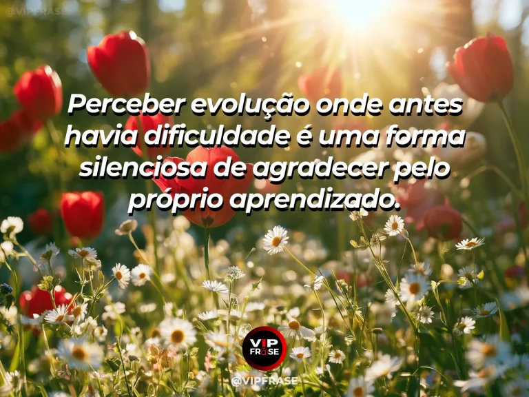 Frase de gratidão com antes e depois sugeridos por duas plantas em estágios diferentes