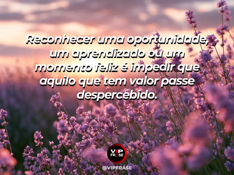 Mensagem de gratidão com cena de raio de luz destacando um pequeno detalhe natural em meio a cenário amplo, metáfora de reconhecimento