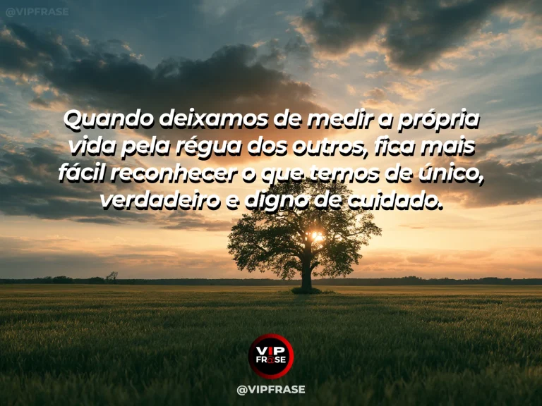 Mensagem reflexiva sobre autoestima, com uma única flor vibrante iluminada pelo sol em um campo diverso e colorido.