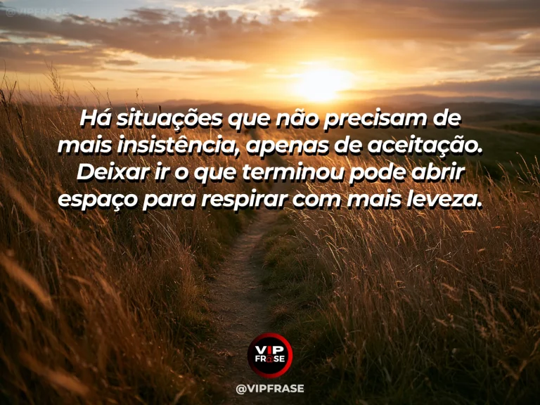 Mensagem reflexiva sobre paz, com pétalas levadas pelo vento sobre um campo florido com céu claro e luz dourada.