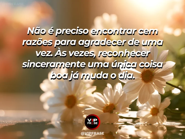 Mensagem de gratidão sobre um motivo de cada vez para agradecer, em uma única flor iluminada pelo sol em composição minimalista