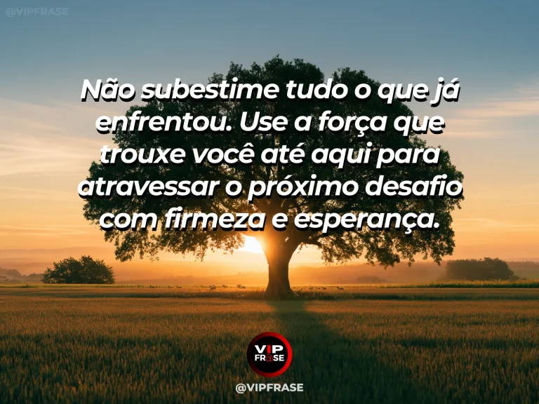 Mensagem motivacional sobre força com árvore firme após uma tempestade
