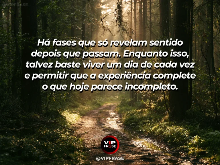 Mensagem de reflexão sobre vida e sabedoria, com caminho entre árvores verdes iluminado por feixes de sol, com horizonte aberto sugerindo descoberta gradual.