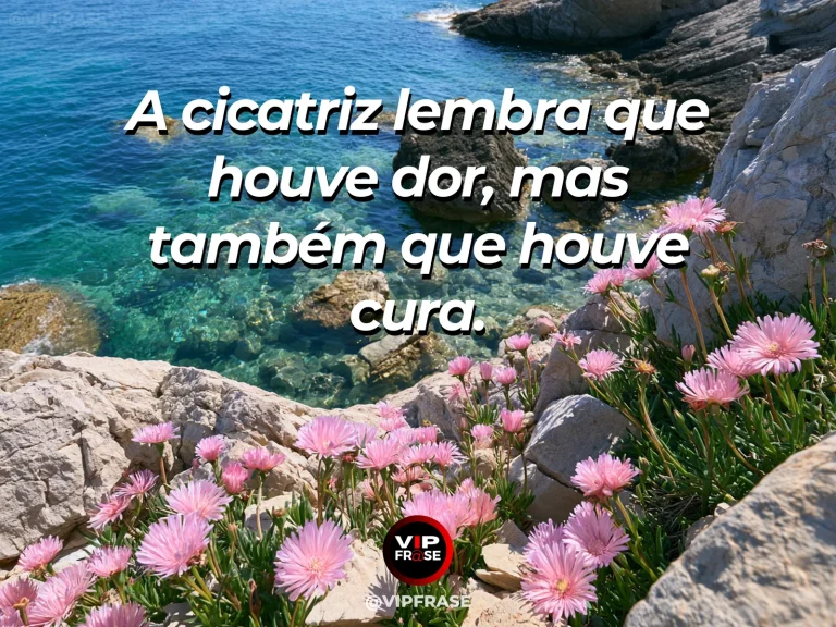 Mensagem de superação com flores delicadas surgindo junto a pedras marcadas pelo tempo, simbolizando marcas que também contam cura.