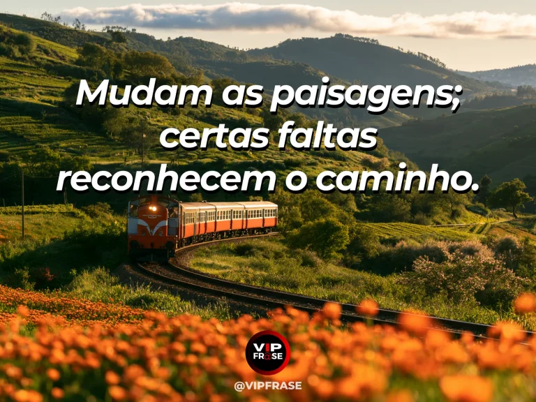 Frase sobre saudade com estrada à beira de colinas com flores silvestres.