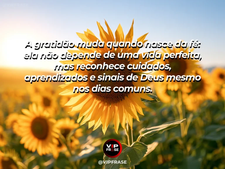Mensagem de fé sobre encontrar motivos para agradecer, com campo de girassóis sob céu azul intenso e luz dourada.