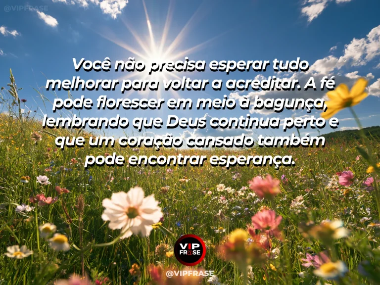 Mensagem de fé sobre fé e esperança em dias imperfeitos, com flores silvestres coloridas crescendo entre pedras após a chuva.