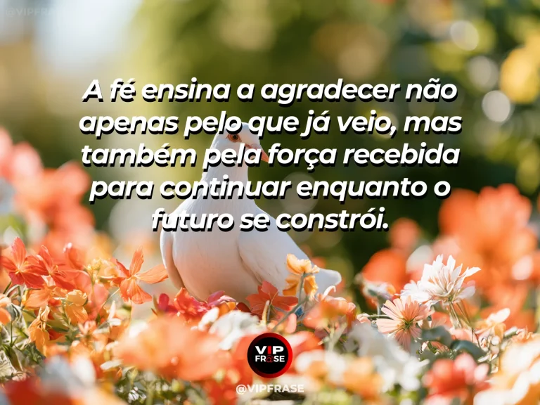 Frase de fé sobre gratidão durante a construção do futuro, com terraços verdes de arroz refletindo o céu do amanhecer.