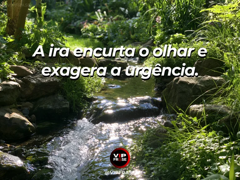 Frase de sabedoria sobre prudência diante da ira, com riacho agitado chegando a lago calmo entre flores vivas.