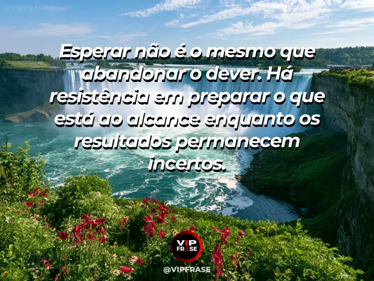 Frase de força sobre a paciência que não se acomoda, com olival antigo em terraços verdes sob céu azul.