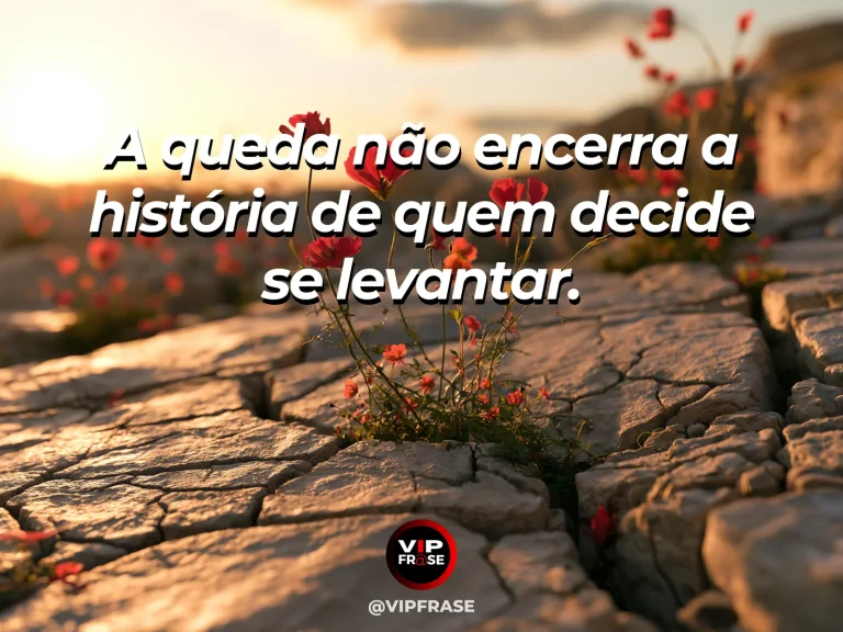 Mensagem de superação em flores surgindo entre pedras rachadas, como símbolo de resistência e retomada.