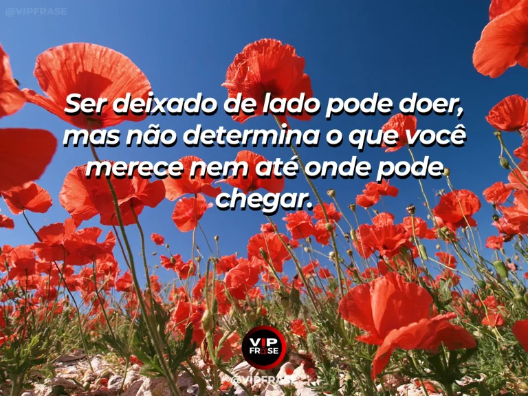 Mensagem de superação com flor vibrante destacada em um campo amplo, simbolizando valor próprio independente da rejeição.