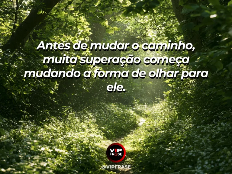 Frase de superação em bright forest path after rain with fresh green leaves.