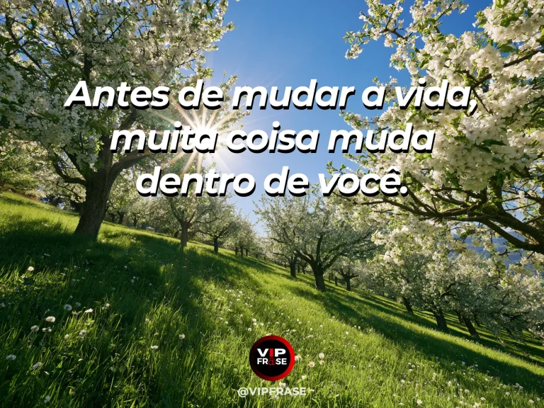Frase de superação em cenário natural sobre alguns recomeços começam em silêncio.
