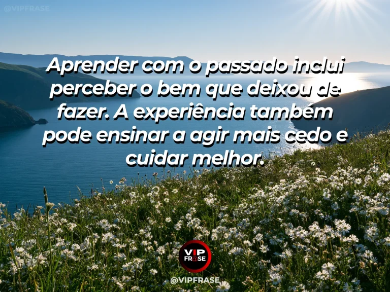 Mensagem de sabedoria sobre aprender com oportunidades do passado, com árvore frutífera com cesta vazia pronta para colher.