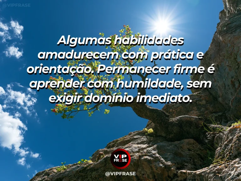 Frase de força sobre aprender sem se diminuir, ilustrada por um pequeno broto verde abrigado por grandes pinheiros em floresta iluminada.