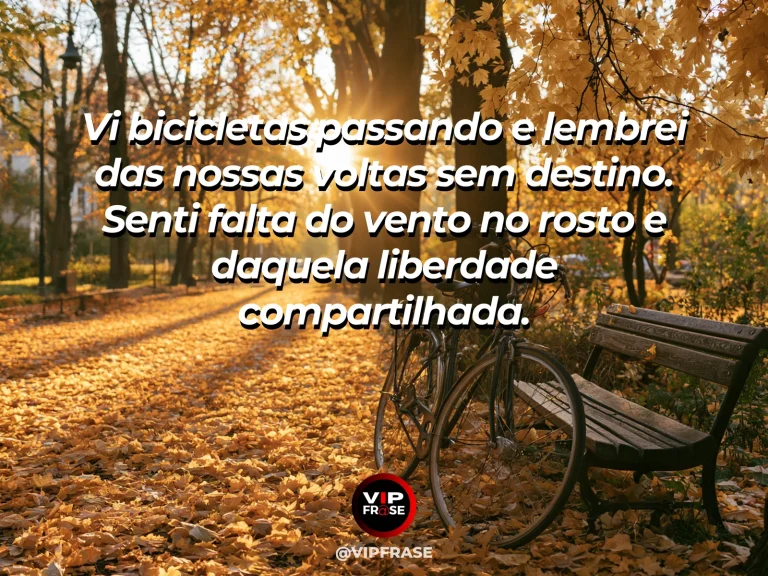 Mensagem sobre saudade, com bicicletas antigas encostadas em cerca junto a campo de flores.