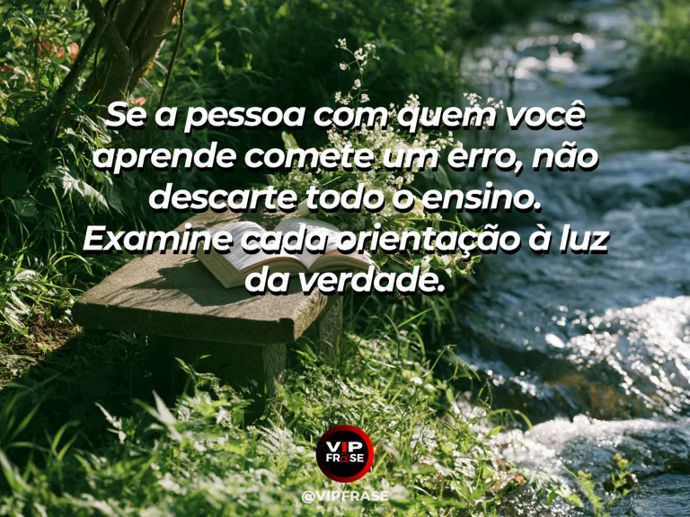 Mensagem de sabedoria sobre examinar ensinamentos, com livro aberto de páginas vazias perto de árvore antiga.
