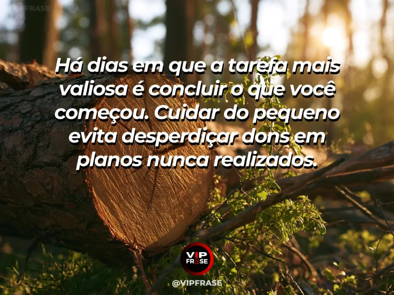 Mensagem de sabedoria sobre concluir tarefas e cuidar dos detalhes, com cesta artesanal de tecido trançado pronta perto de flores.