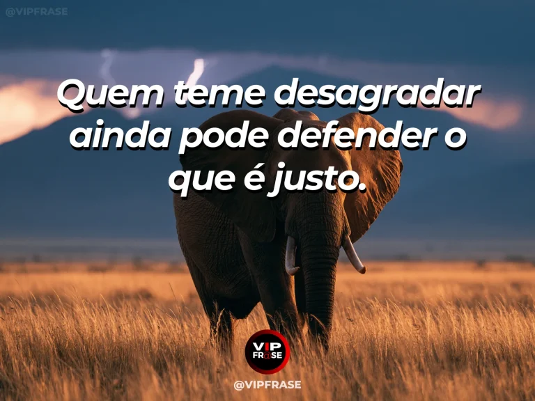 Frase sobre coragem e justiça diante da desaprovação, com cena de a lone bison standing protectively in a golden valley against approaching clouds.