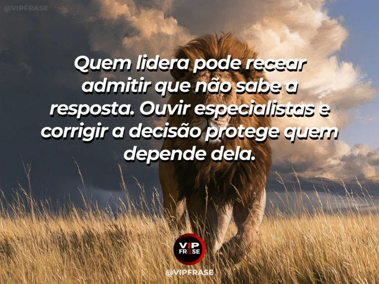 Frase sobre coragem e liderar sem fingir conhecimento, com cena de an old lion beside a family of lions surveying a broad savanna from a safe hill.
