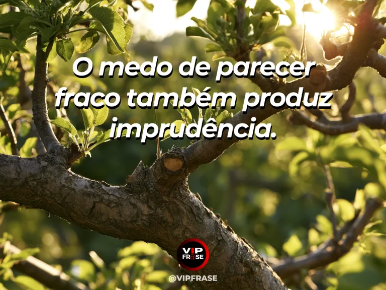 Frase de sabedoria sobre coragem para admitir fraquezas, com broto delicado protegido sob árvore forte em manhã luminosa.