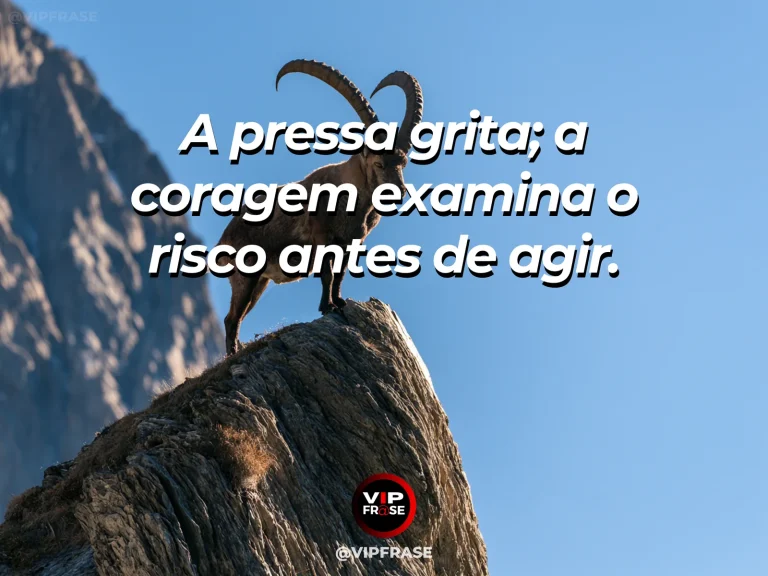 Mensagem de coragem com prudência, com bússola diante de um deserto de cânions.