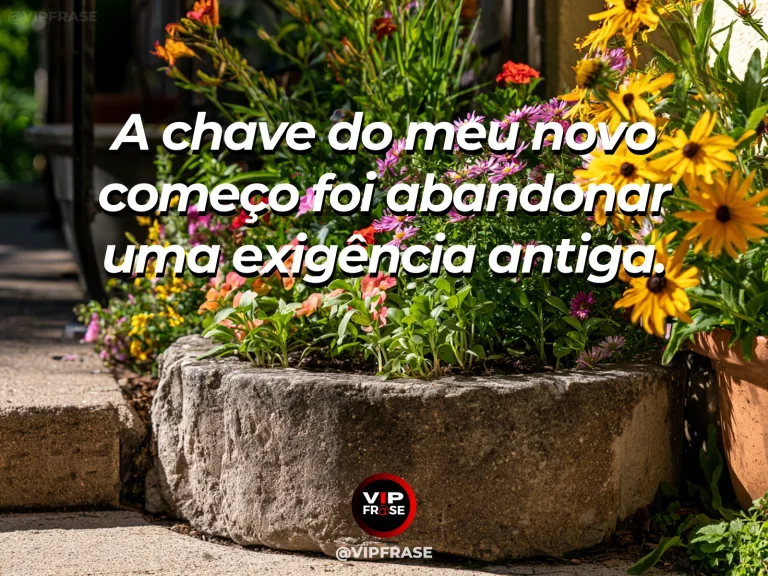 Mensagem de recomeço sobre abandonar uma exigência rígida para recomeçar, em composição de pedras e uma flor que floresce entre espaços.