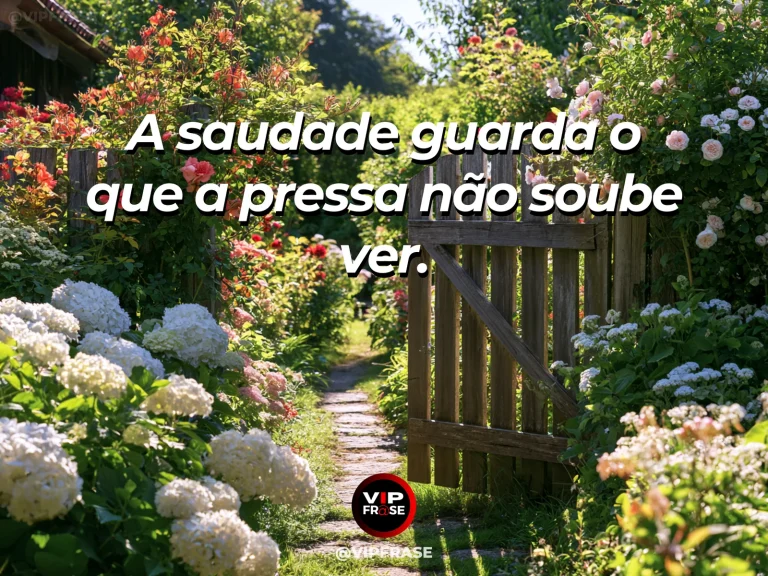 Frase sobre saudade com pequenas flores crescendo entre pedras do jardim.