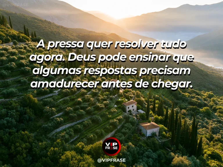 Frase sobre Deus com vinhedo ao entardecer com fileiras douradas e céu amplo em tons quentes.